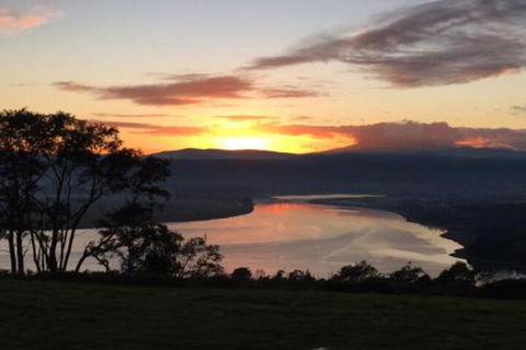 The Villa On Pine Tree - Accommodation Sunshine Coast 1