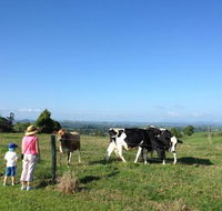 MilaViews - Accommodation Sunshine Coast