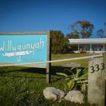 Willygunyah - Accommodation Sunshine Coast 0