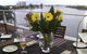 The Point Mandurah Apartment - thumb 4