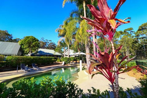 Corella Studio Apartment In Raffetys Resort - Accommodation Sunshine Coast 3