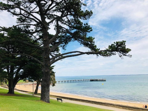 FAMILY ISLAND GETAWAY BEACHFRONT APARTMENT - Accommodation Sunshine Coast 3