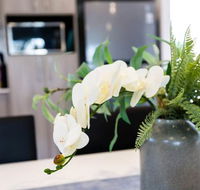 Wagga Apartments 5 - Accommodation Sunshine Coast