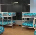 Wombat Backpackers - Accommodation Sunshine Coast