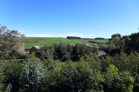 Daysy Hill Country Cottages - Accommodation Sunshine Coast 6