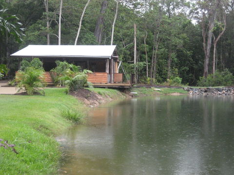 Rainforest Ranch - Accommodation Sunshine Coast 0