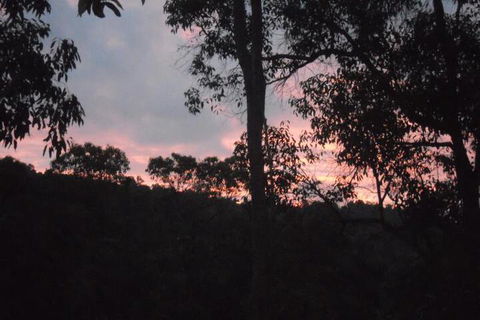 Bickley Valley Retreat - Accommodation Sunshine Coast 4
