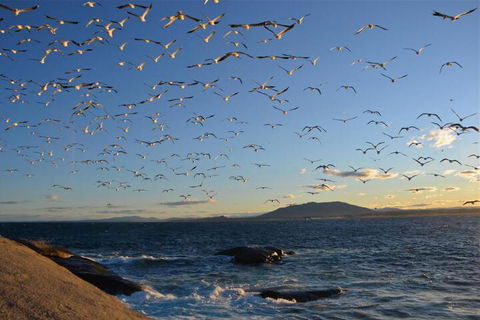 Narooma Motel - Accommodation Sunshine Coast 3