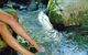 Crystal Creek Rainforest Retreat - thumb 1