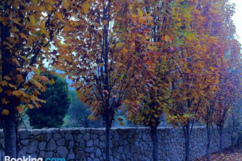 Birches Luxury Spa Chalets - Accommodation Sunshine Coast 5