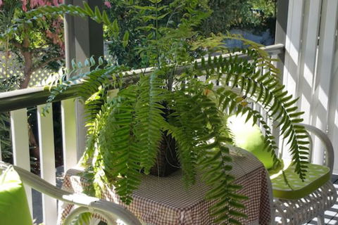 Elindale House Bed & Breakfast - Accommodation Sunshine Coast 4