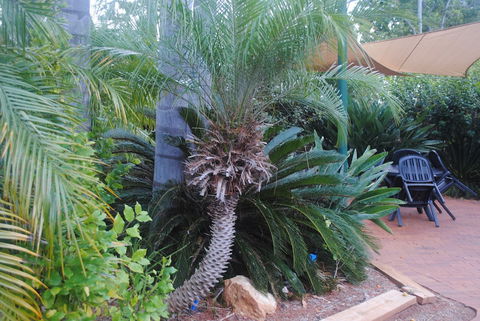 Kingaroy Holiday Park - Accommodation Sunshine Coast 1