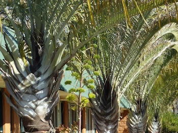 Somerville WA Accommodation Sunshine Coast