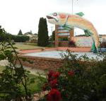 Big Trout Motel - Accommodation Sunshine Coast