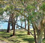 32 Bay Parklands 2 Gowrie Avenue fantastic unit with air conditioning pool tennis court  spa - Accommodation Sunshine Coast