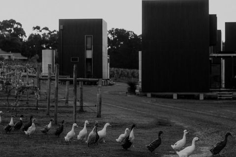 Barn Hives Yallingup - Accommodation Sunshine Coast 1
