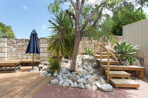 Dingo At White Gum Lodge - Accommodation Sunshine Coast 4