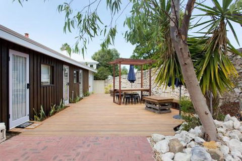 Dingo At White Gum Lodge - Accommodation Sunshine Coast 2