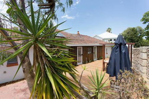 Dingo At White Gum Lodge - Accommodation Sunshine Coast 5