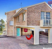 Dolphin WatchatNelson Bay - Accommodation Sunshine Coast
