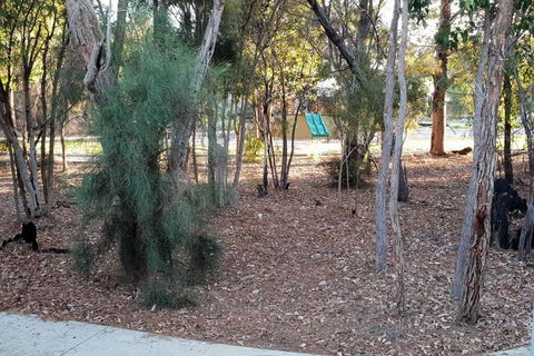 Frasers Landing Lifestyle - Accommodation Sunshine Coast 4