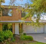 Wild Waves - Accommodation Sunshine Coast