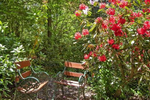 Jalscene - Accommodation Sunshine Coast 5