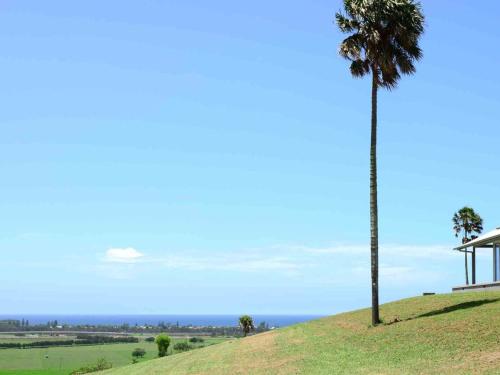 Rose Valley NSW Accommodation Sunshine Coast