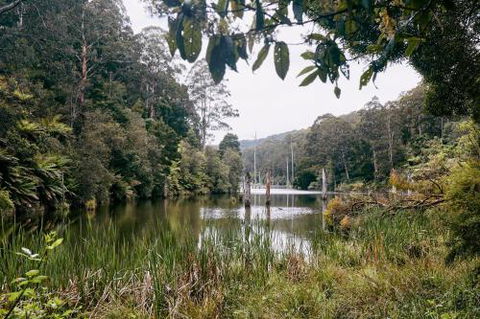 Drumour - Accommodation Sunshine Coast 1