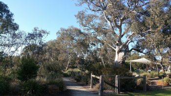 Mt Cooper Inn - Accommodation Sunshine Coast 5