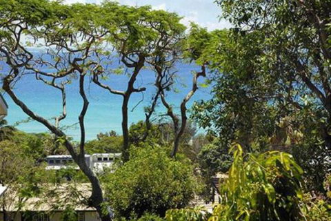 At Cylinder Unit 3 - Accommodation Sunshine Coast 6