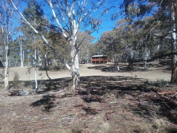 Gooandra Alpine Cabins - Accommodation Sunshine Coast 6