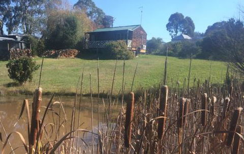 Creswick Cabin Retreat - Accommodation Sunshine Coast 2