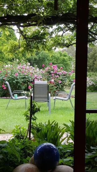 Wisteria Lodge - Accommodation Sunshine Coast 5