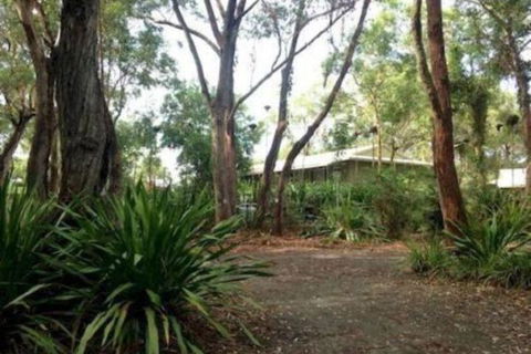 Port Stephens Koala Sanctuary - Accommodation Sunshine Coast 2