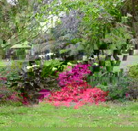 North East Rest Awhile Bed  Breakfast - Accommodation Sunshine Coast