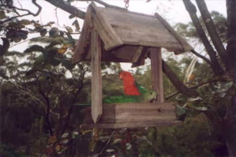 Arcadia Cottage - Accommodation Sunshine Coast 2