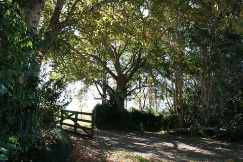 Maleny Mountain Retreat - Accommodation Sunshine Coast 0