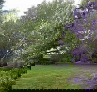 Petersons Armidale Winery  Guesthouse - Accommodation Sunshine Coast