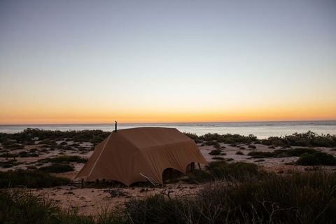Sal Salis - Accommodation Sunshine Coast 7