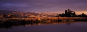Wombat Hills Cottages - Accommodation Sunshine Coast 0