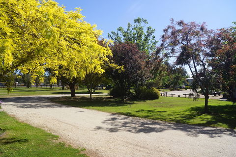All Seasons Mansfield - Accommodation Sunshine Coast 5