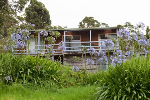Bombina Cottages - Accommodation Sunshine Coast 0