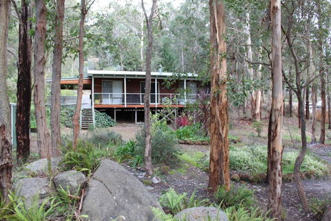 Franciscas Cottage - Accommodation Sunshine Coast 3