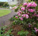 Anabels of Scottsdale - Accommodation Sunshine Coast
