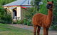 Araluen Park Cottages - thumb 6