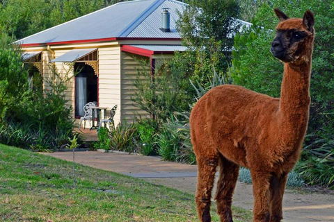 Araluen Park Cottages - Accommodation Sunshine Coast 6
