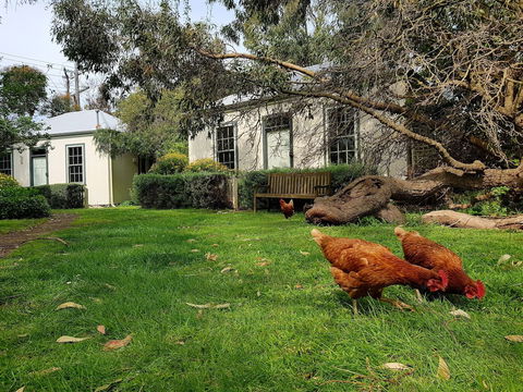 Clonmara Country House & Cottages - Accommodation Sunshine Coast 1