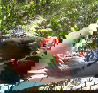 Lorne Bush House Cottages  Eco Retreats - Accommodation Sunshine Coast