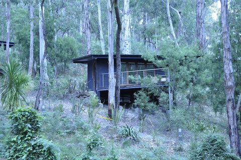 Qdos Arts - Accommodation Sunshine Coast 6